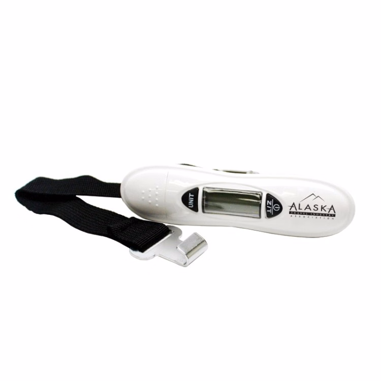 Digital Travel Scale