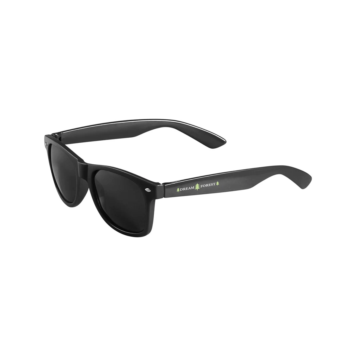 Polarized Sunglasses 1