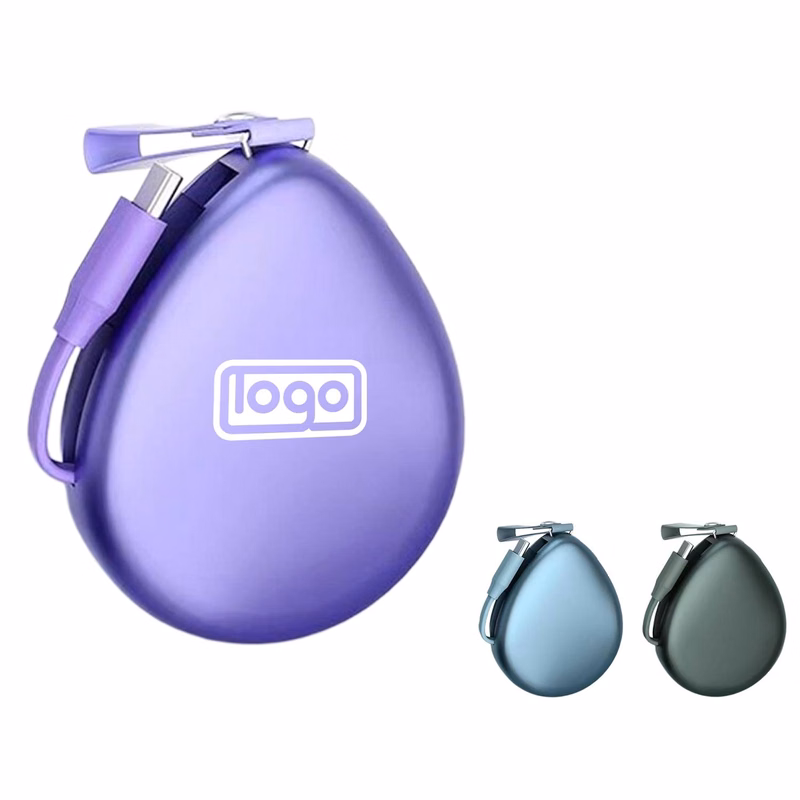 3-in-1 Charging Cable with Storage Case
