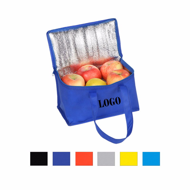 Customizable Oxford Cloth Insulated Cooler Bag