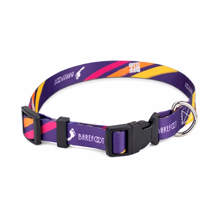3/4" Full Color Dog Collar