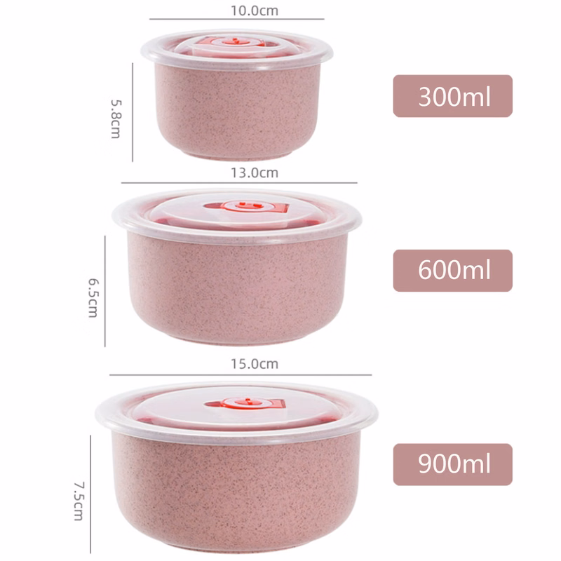 Biodegradable Bento Box