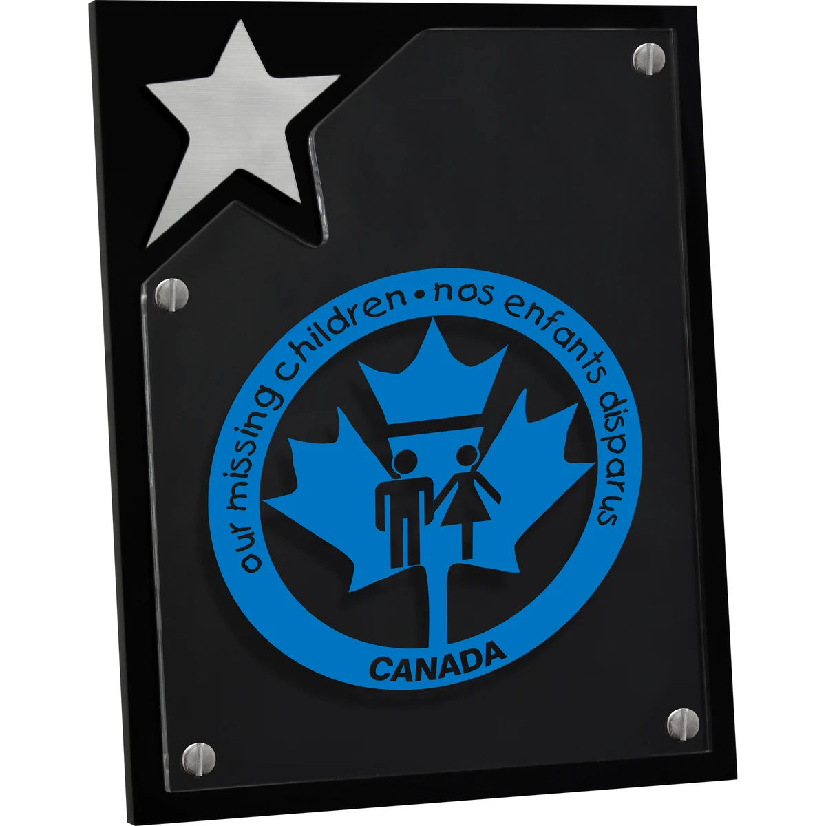 North Star Plaque (8" x 10" x 3/8") Screen-Printed 1