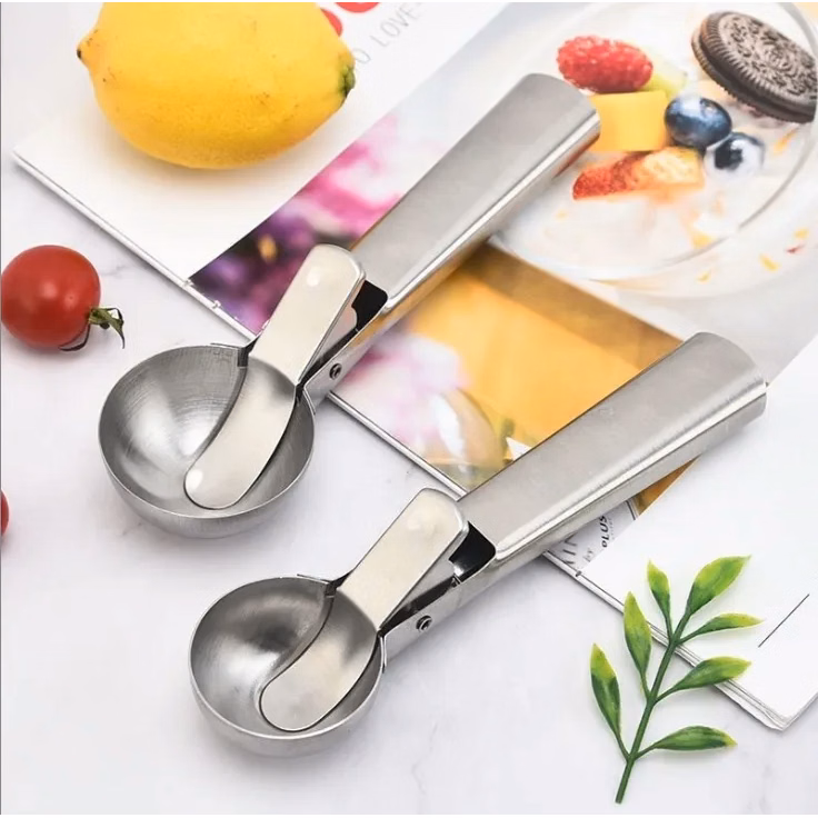 Stainless Steel Ice Cream Scoop/Spoon