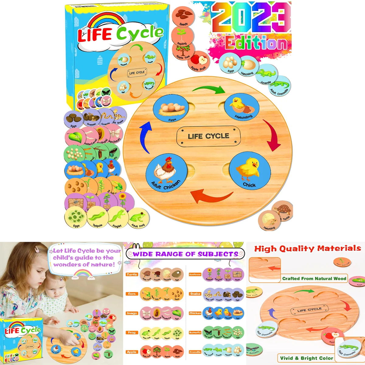 Life Cycle Toys for Kids 1