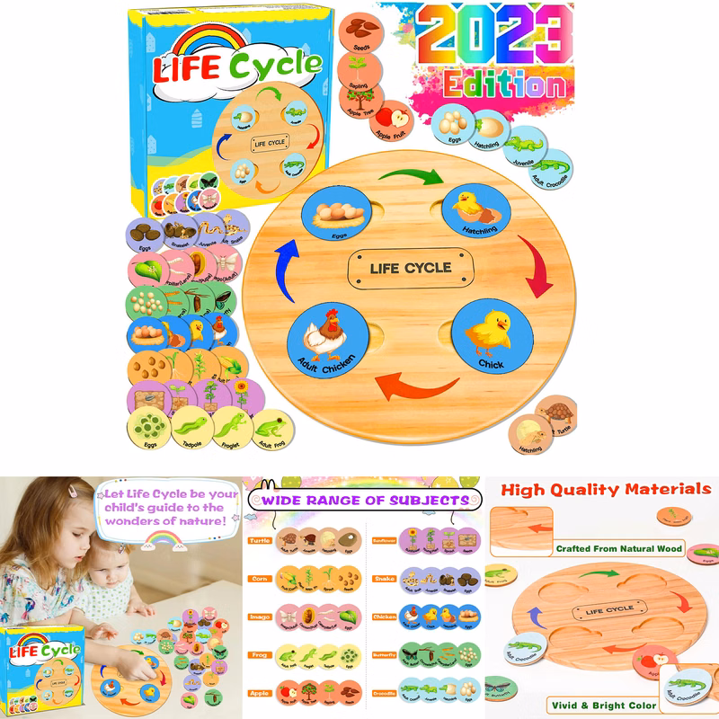 Life Cycle Toys for Kids