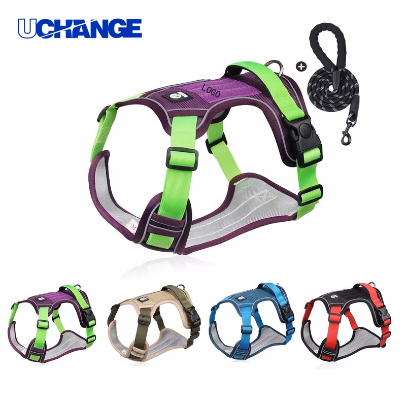 Dog Leash Tool for Walking