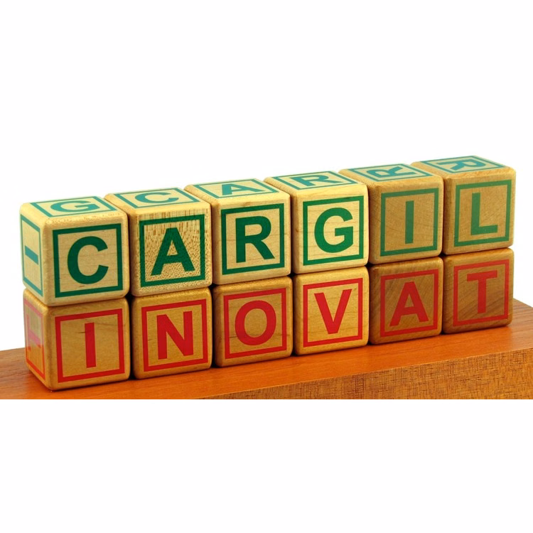 Wood Message Cube