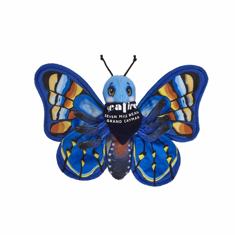 Imagination Series Butterfly Blue