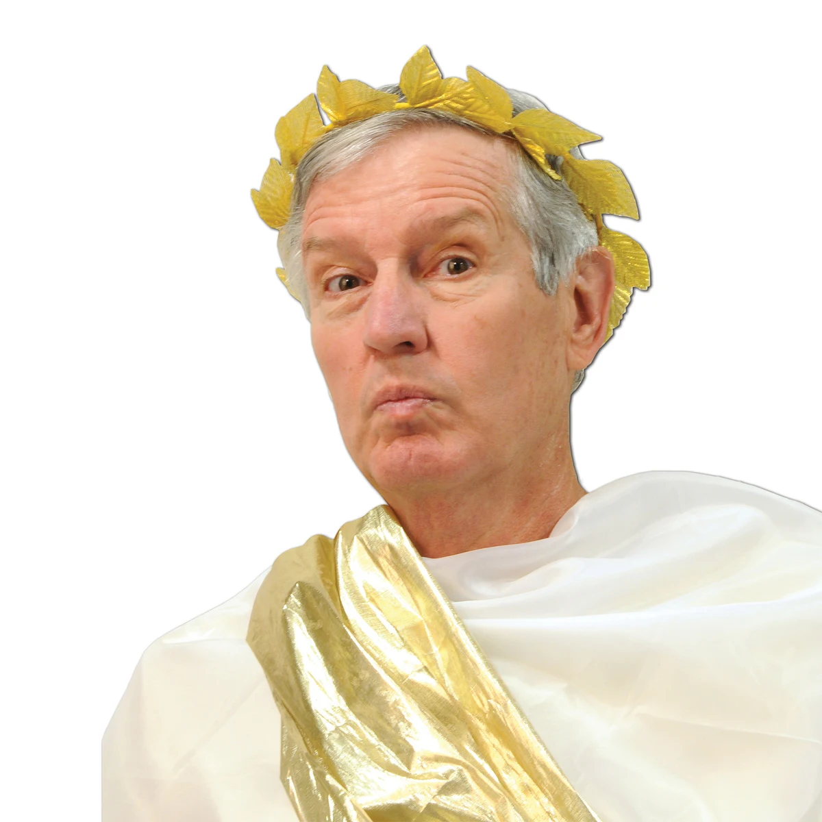 Roman Laurel Wreath 1
