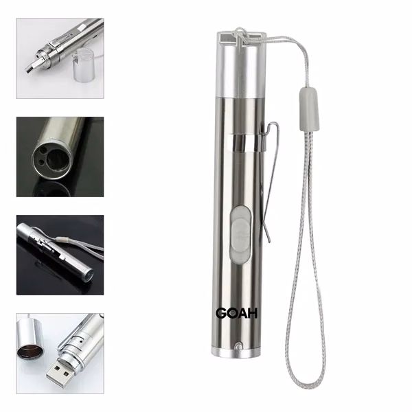 Custom 4-Inch Stainless Steel Multi-Mode LED Flashlight — Pet Training & Presentations