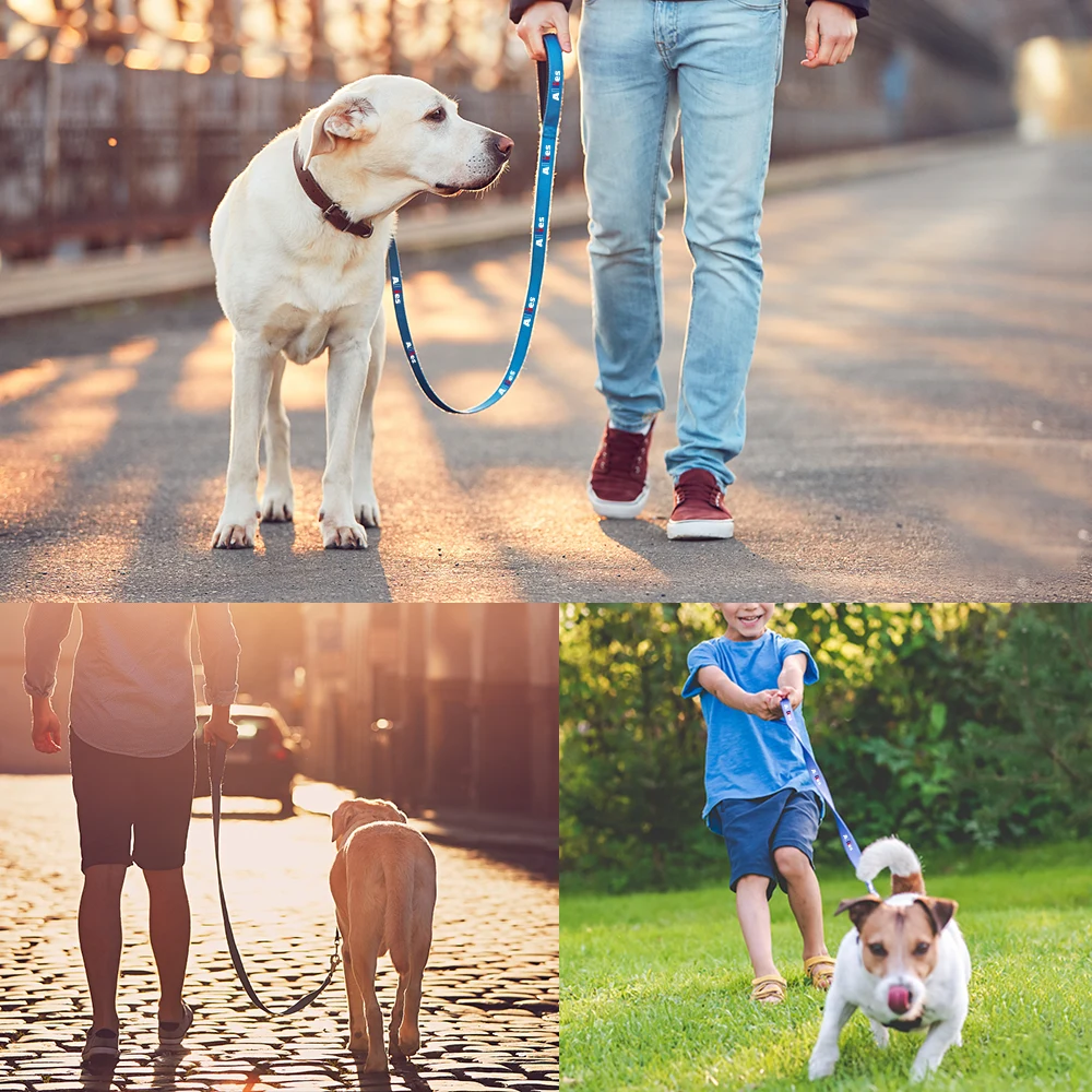 Baxter Leash with Collar Hook 1