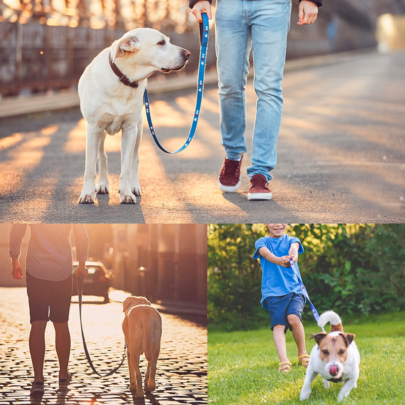 Baxter Leash with Collar Hook