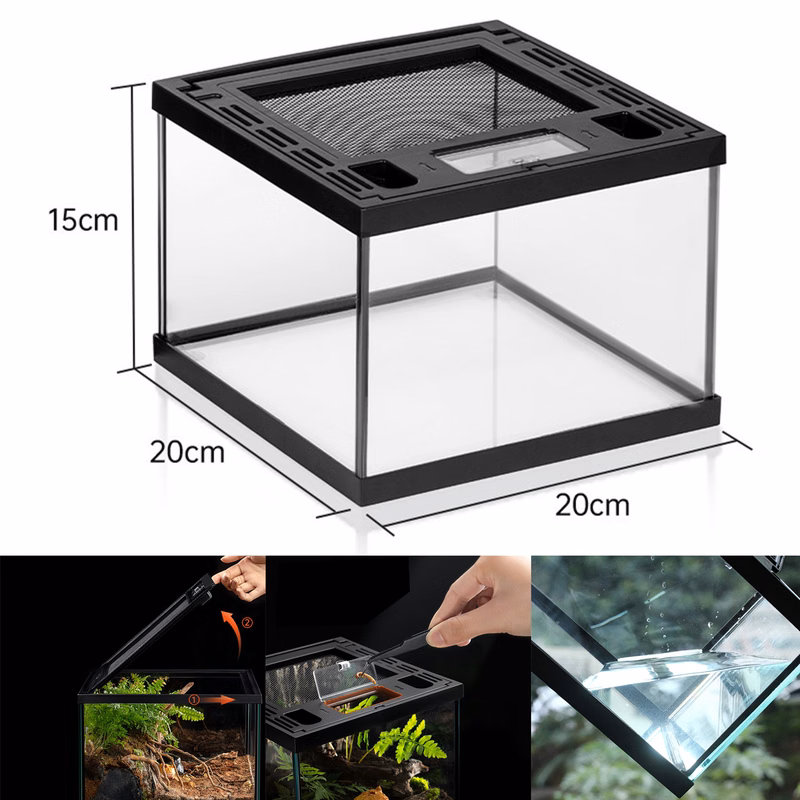 8'' Reptile Amphibians Terrarium Glass Box