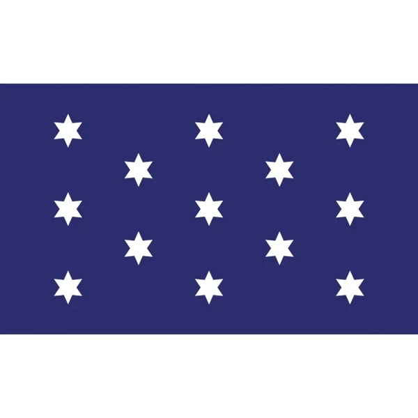Special Historical Flags - Washington's Commander & Chief 1