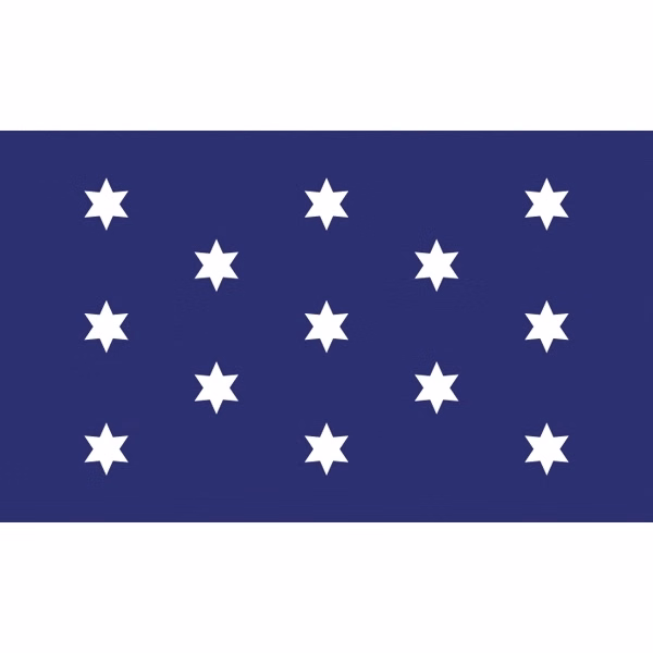 Special Historical Flags - Washington's Commander & Chief