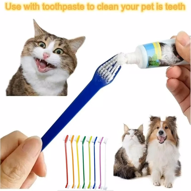 Pet double head toothbrush