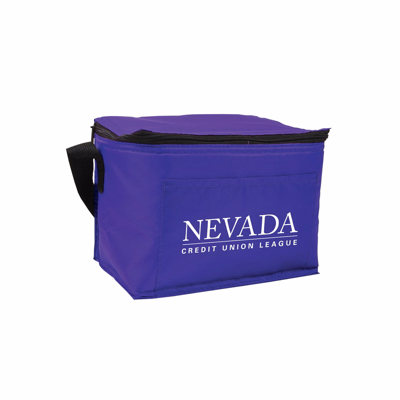 Budget 6-Pack Cooler Bag