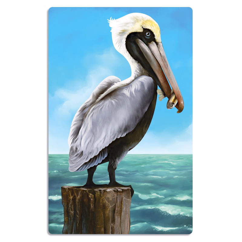 Pelican Cutouts