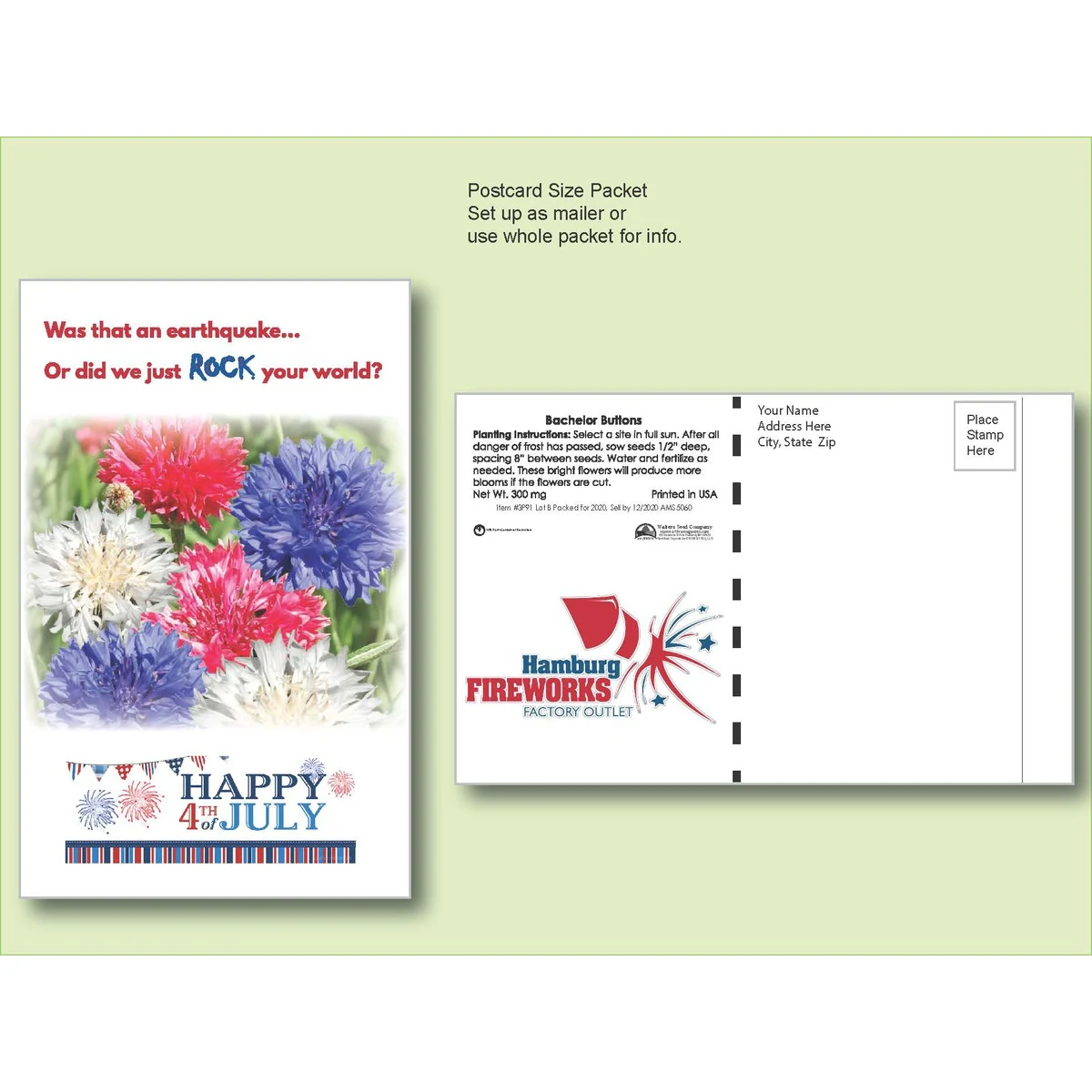 Bachelor Button Seed Packet - Postcard Mailer Size 4" x 6.5" 1