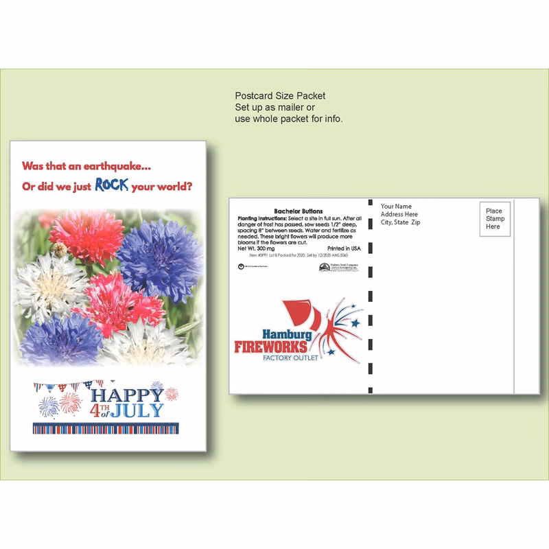 Bachelor Button Seed Packet - Postcard Mailer Size 4" x 6.5"