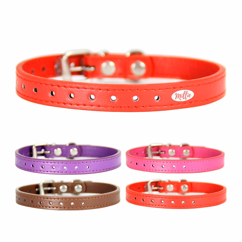 Adjustable Pet Collar for Small Medium Large Dogs