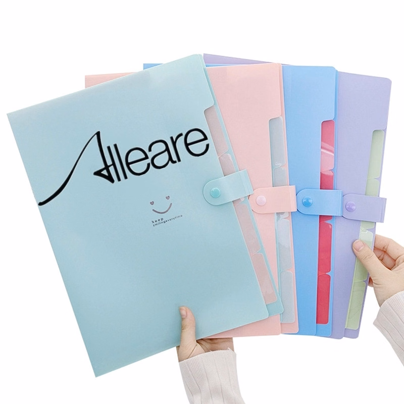 Organ File Organizer Folder
