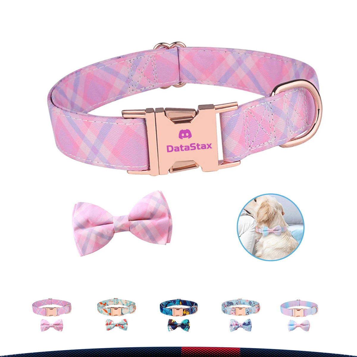 Cute Bow Dog Collar 1