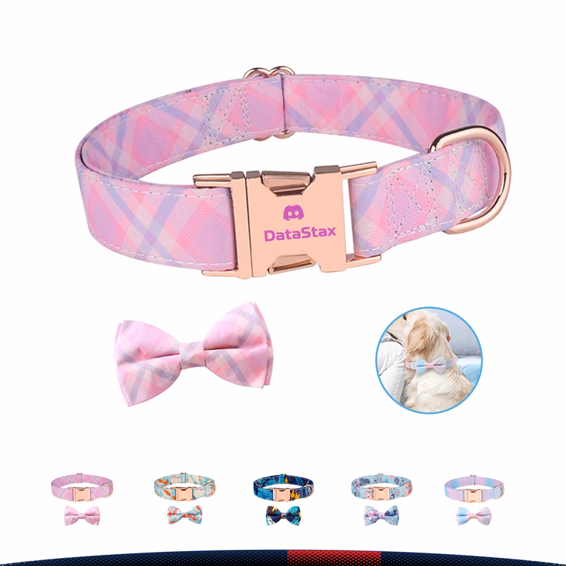 Cute Bow Dog Collar