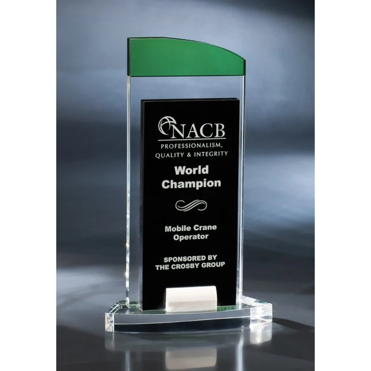 Artistic Expressions Crystal Night Trip Award 1