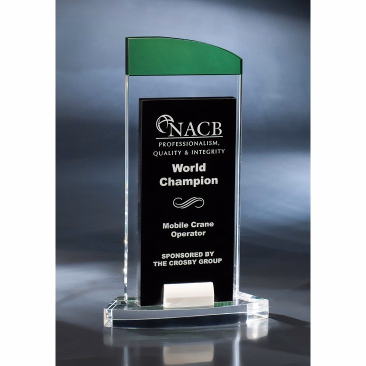 Artistic Expressions Crystal Night Trip Award