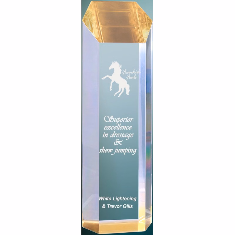 3" x 10" Gold Tower Acrylic Award