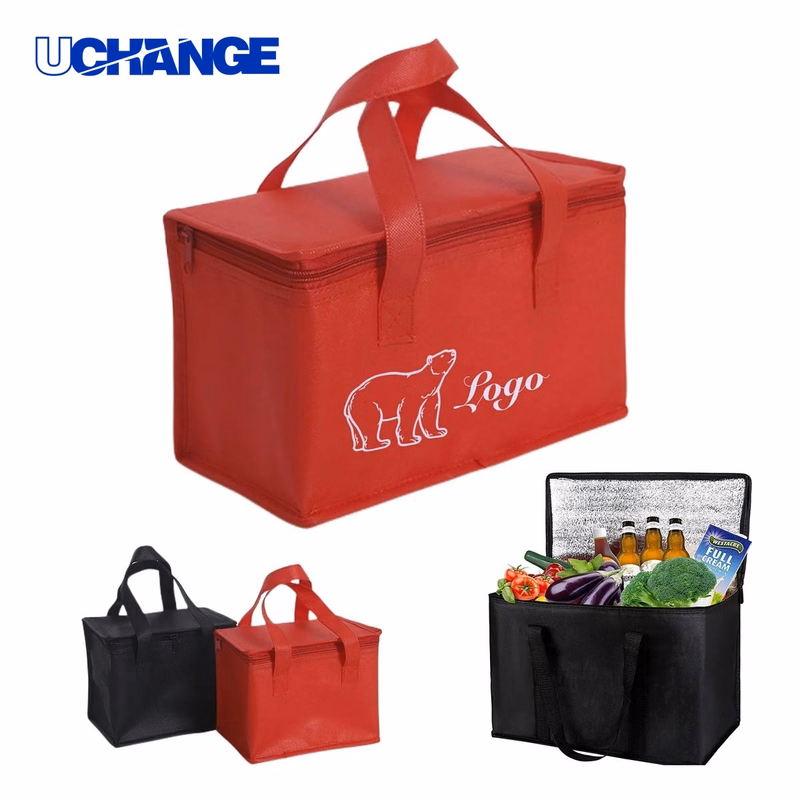 Large Insulated Grocery Cooler Bag