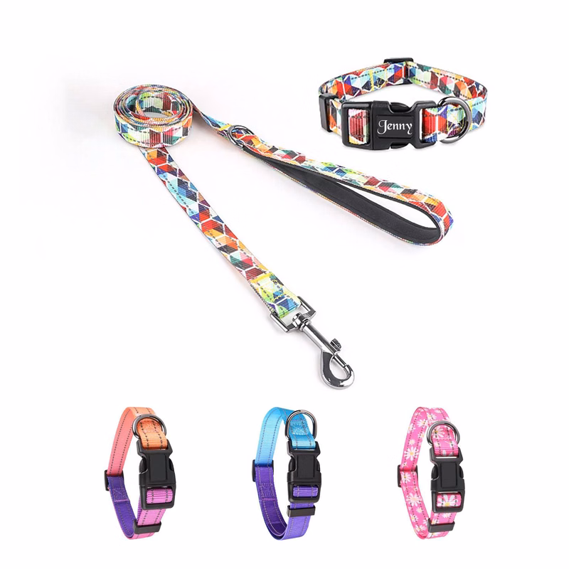 Dog Reflective Walking Leash Collar Set