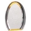 8" Oval Halo Acrylic Award 1