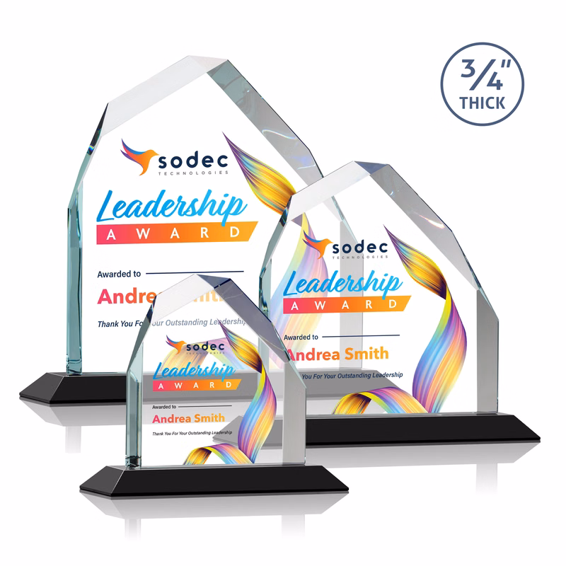 Austere Peak VividPrint™ Award - Black