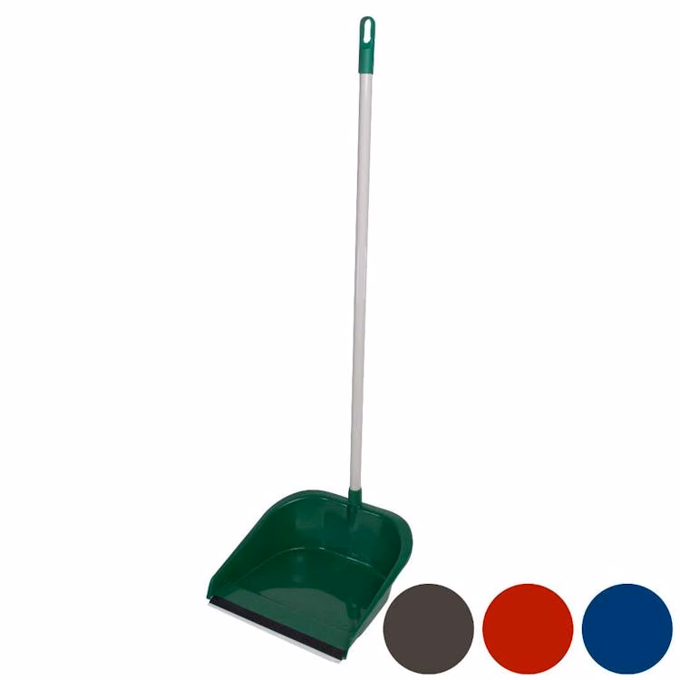 Dustpan Assorted