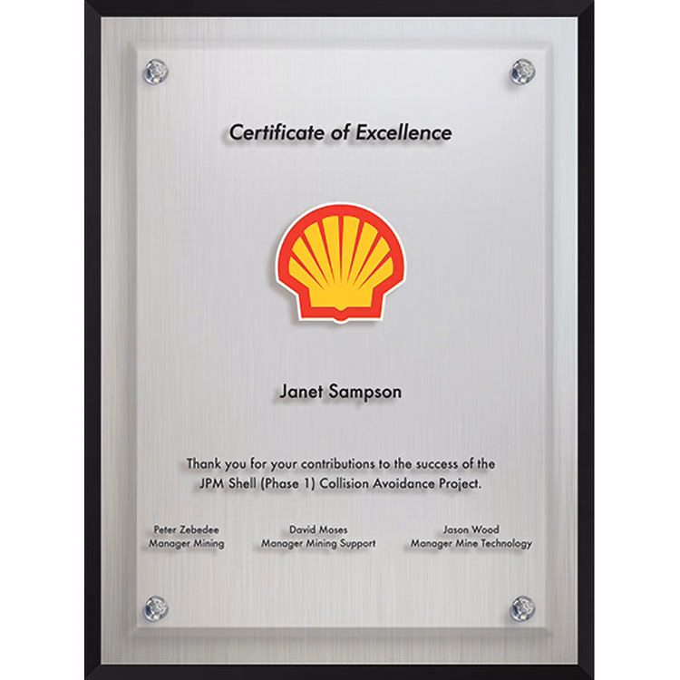 Econo Series Frosted Aluminum Plaque (6"x 8") Screen-Printed