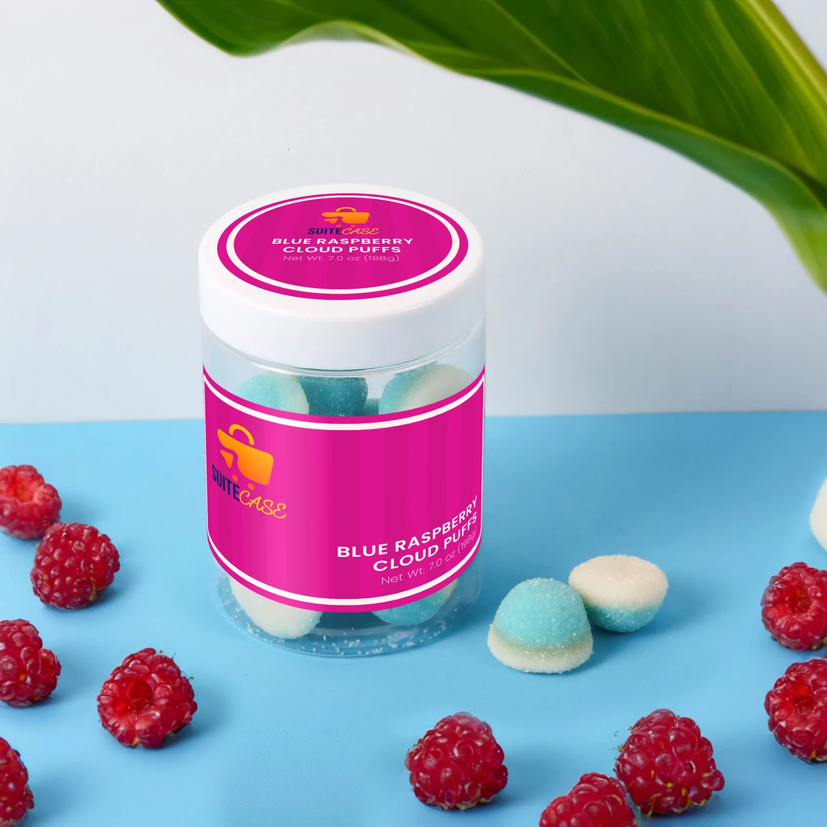 Blue Raspberry Cloud Puffs: Large Jar 1