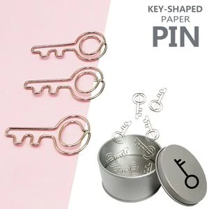 Key Shaped Paper Clips In Tin Box 1