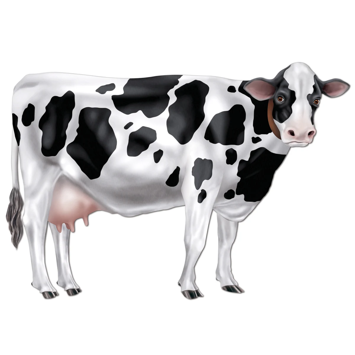 Jointed Cow 1