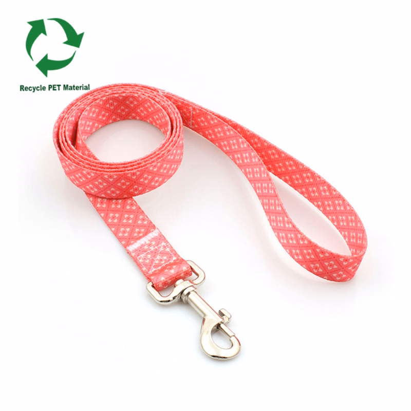 3/4"W x 72"L rPET Eco-friendly Sublimation Pet Leash w/ Metal Carabiner