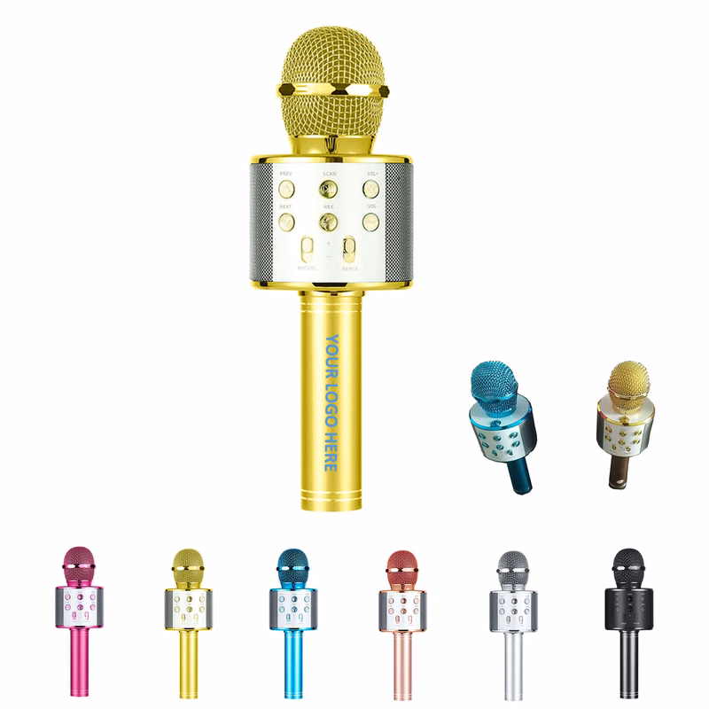 Portable Karaoke Microphone