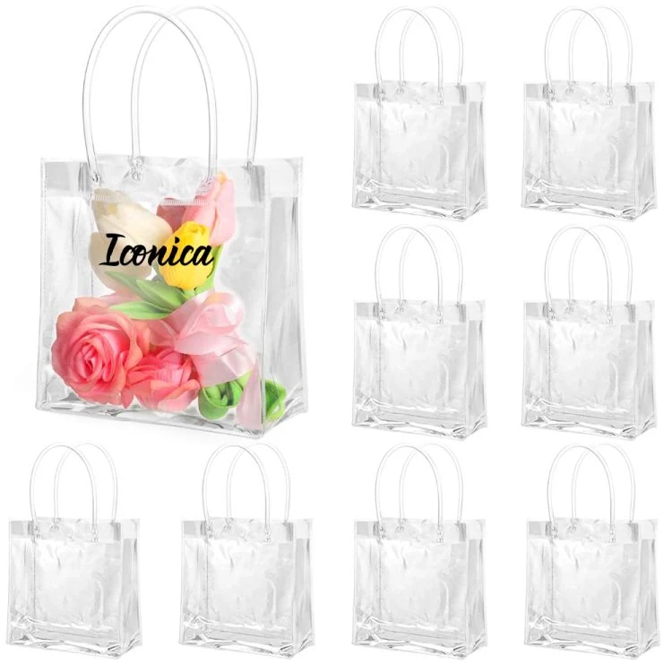 Clear Gift Bags with Handle 1