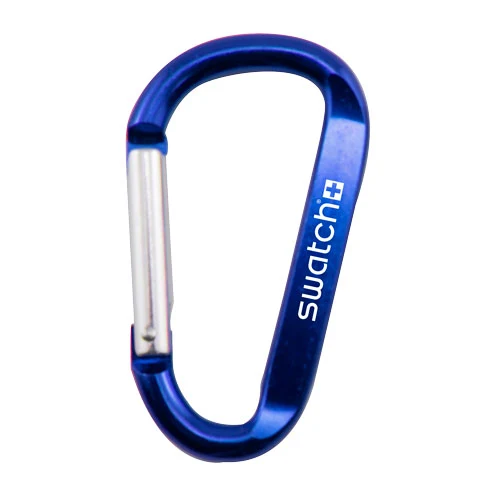 Carabiner Clip Keychain 1