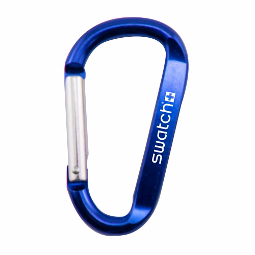 Carabiner Clip Keychain