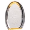 8" Oval Halo Acrylic Award