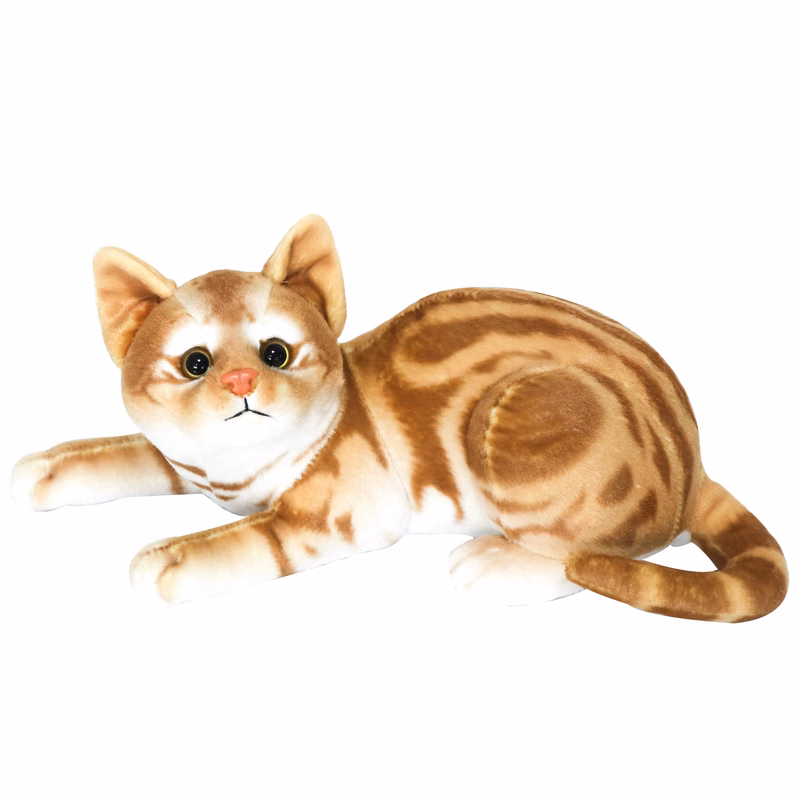 Laying Cat