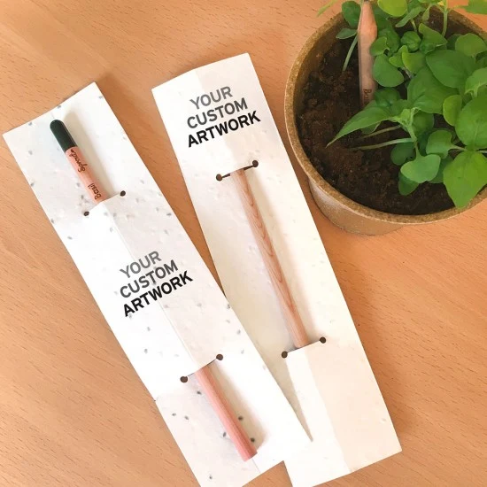 Sprout Pencil With Double-Sided Basil Seed Paper 1