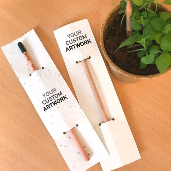 Sprout Pencil With Double-Sided Basil Seed Paper